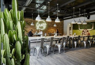 Modern communal cafe with industrial ceilings, metal chairs, and a large indoor cactus.