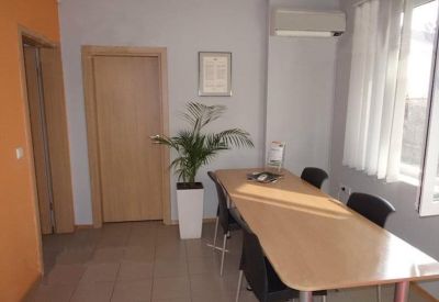 Meeting room with a long light-wood table, black chairs, and a potted plant.