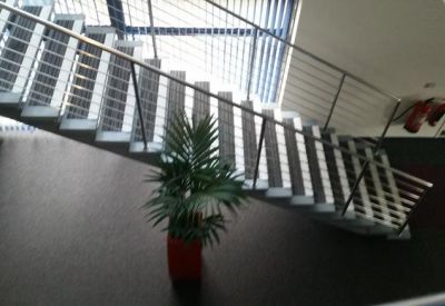 Modern interior staircase with metal railings and a large potted plant against a dark feature wall.
