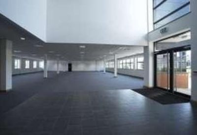 Spacious open-plan office floor with blue carpeting and large windows overlooking the street.