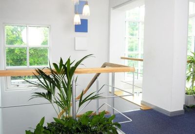 Bright stairwell landing featuring a large white planter with lush green foliage.