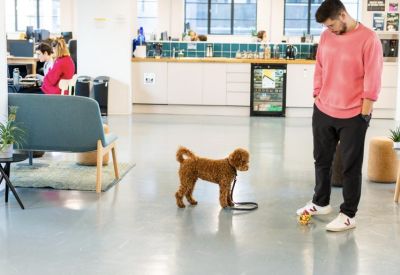 Bright breakout space where a person interacts with a small dog near a modern kitchen.