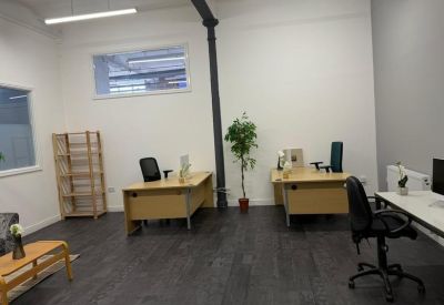 Bright workspace with two large wooden desks and a tall green plant.
