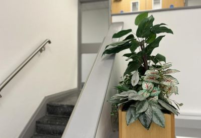 Indoor staircase featuring a modern silver handrail and vibrant potted plants.