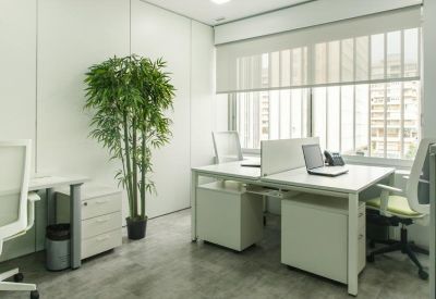 Small white office suite with a desk, laptop, and a tall artificial bamboo plant.