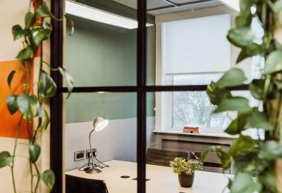 Meeting room seen through a glass window framed by lush green climbing plants.
