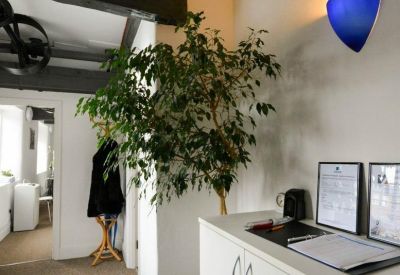 Bright reception area with a large indoor tree, white cabinetry, and a blue wall-mounted light.