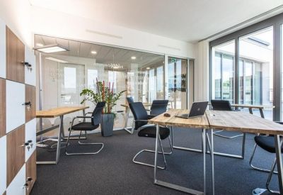 Bright office space featuring wooden desks, black ergonomic chairs, and a large indoor plant.