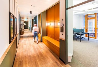 Brightly lit office corridor with wooden floors and glass-walled private office suites.
