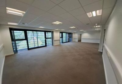 Large open-plan office space with grey carpeting and expansive windows.