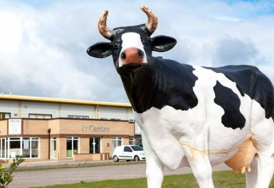 Exterior view of the cow statue in front of Interchange House, Howards Way.