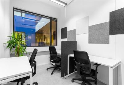 Bright multi-desk office workspace with a partition and indoor plant.