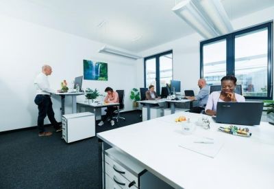 Bright shared office with height-adjustable desks and large windows.