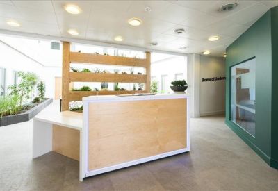 Reception area with a light wood desk and a matching wooden shelf wall with plants.
