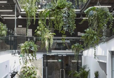 Bright indoor lobby filled with hanging plants and various seating arrangements.