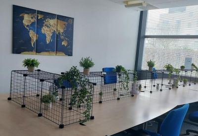 Communal coworking table featuring wire partitions, green plants, and a world map.