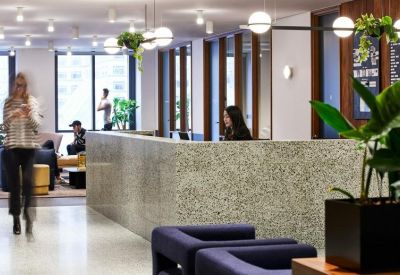 Modern reception area featuring a textured stone desk, indoor plants, and soft globe lighting.