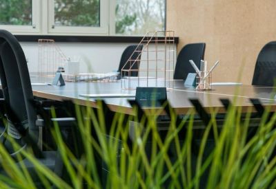 Long wooden meeting table viewed through green indoor plants with black mesh office chairs.