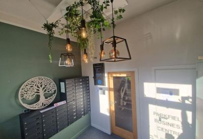 Reception area with hanging plants, modern pendant lights, and a tree of life wall sculpture.