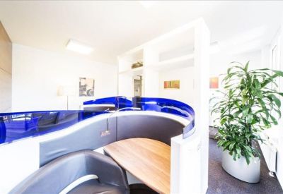 Modern coworking area with curved blue privacy screens and a large indoor plant.
