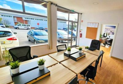 Bright shared workspace with several wooden desks and green potted plants.