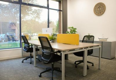 Workspace with wood-finish desks, black ergonomic chairs, and yellow privacy dividers by a window.