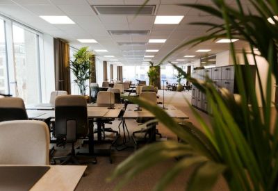 Spacious open-plan office with multiple workstations and indoor plants.