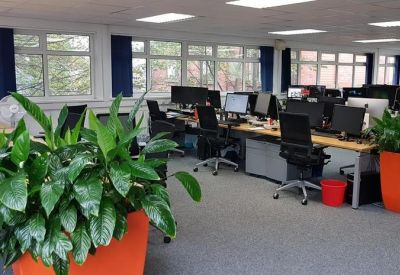 Large open-plan office with rows of desks, computer monitors, and vibrant orange planters.
