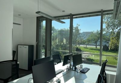 Sunlit open-plan office space with dual monitor workstations and park views.