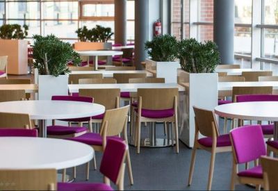 Bright dining area featuring white tables, pink chairs, and potted greenery.