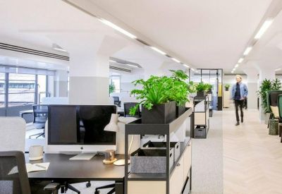 Open-plan office with desks, computers, and green potted plants.