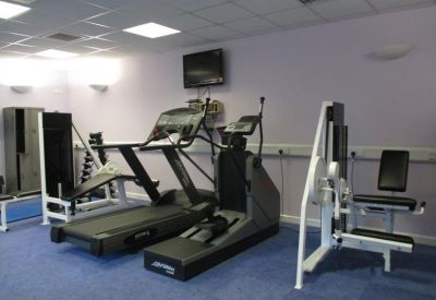 Lush green outdoor area with a small pond and surrounding trees.