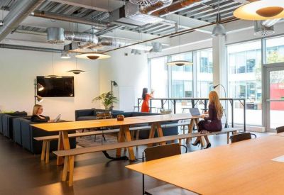 Bright open-plan workspace with a long bench table and large windows.