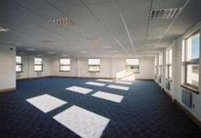 Spacious open-plan office with blue carpeting and large windows providing natural light.