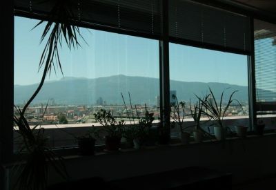 Close-up of potted plants on a windowsill overlooking the city skyline.