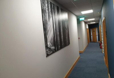Well-lit corridor with blue carpeting, white walls, and a large monochromatic forest art piece.