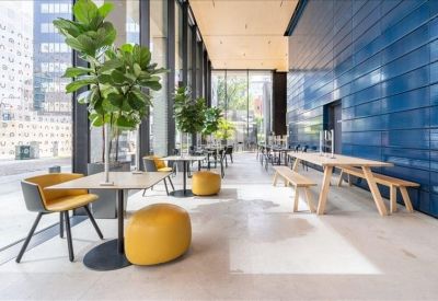 Modern breakout area with yellow seating, wooden tables, and leafy green indoor trees.