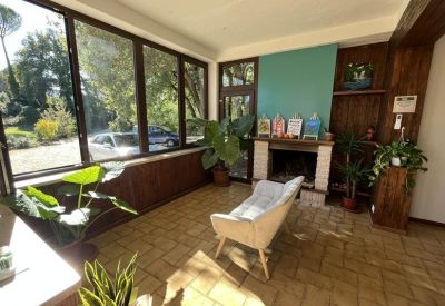 Sunlit lounge area with a fireplace, teal accent wall, and large windows looking onto greenery.