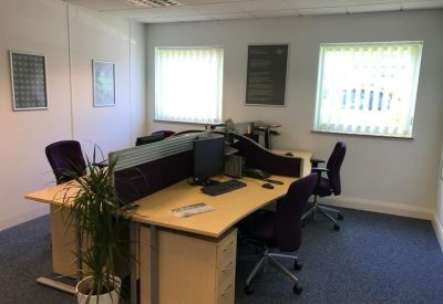 Four-person workstation area with light wood desks and a potted plant.