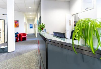 Modern reception desk with a vibrant green potted plant and hallway view.