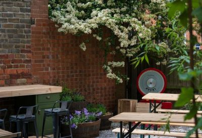 Outdoor patio area with wooden picnic tables and lush green plants.