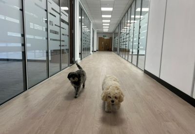 Interior of Southpoint, Old Brighton Road, Lowfield Heath