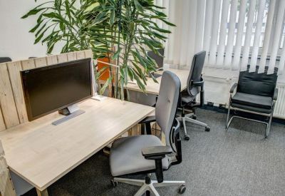 Modern office setup with two desks, grey ergonomic chairs, and large indoor plants.