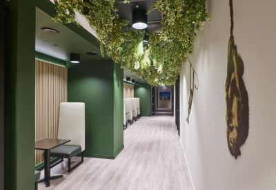 Hallway featuring individual private work booths and hanging greenery along a white and green corridor.