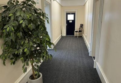 Brightly lit hallway featuring a large green potted plant and grey carpeting.