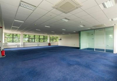 Large empty open-plan office space with blue carpeting and white tiled ceilings.