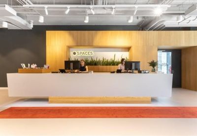 Minimalist white reception desk with a warm wood backdrop and indoor greenery.