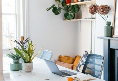 Bright shared workspace with modular white desks, a laptop, and various potted indoor plants.