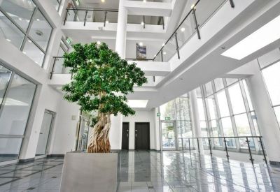 Bright multi-story atrium lobby with a large indoor tree and glass railings.