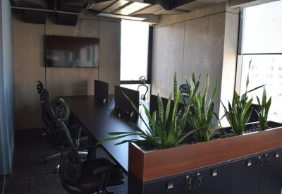 Meeting room area with a long black table, desk monitors, and vibrant snake plants.